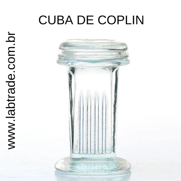 Cuba de Coplin Para 10 Laminas 26x76mm