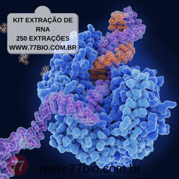 [Kit para extração e purificação de RNA com colunas de sílica] - 250 extrações - RUO [13-BR850-25]