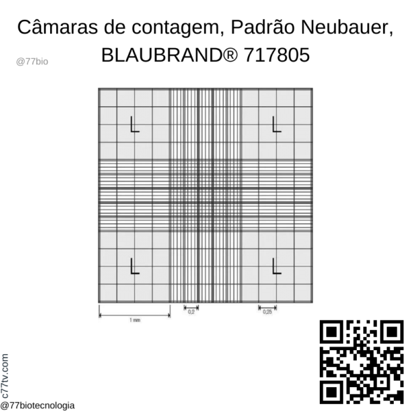 Câmara de contagem BRAND® BLAUBRAND® Neubauer aprimorado sem clipes, pautada dupla | BR717805