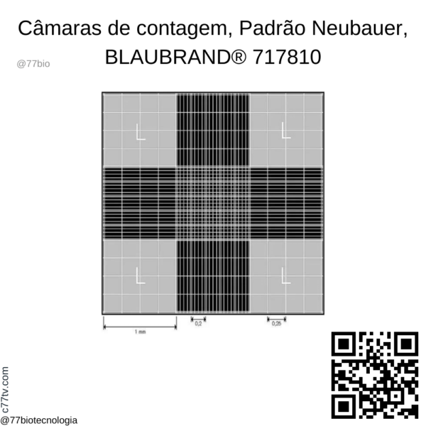 Câmara de contagem BRAND® BLAUBRAND® Neubauer melhorado sem clipes, linha brilhante | BR717810