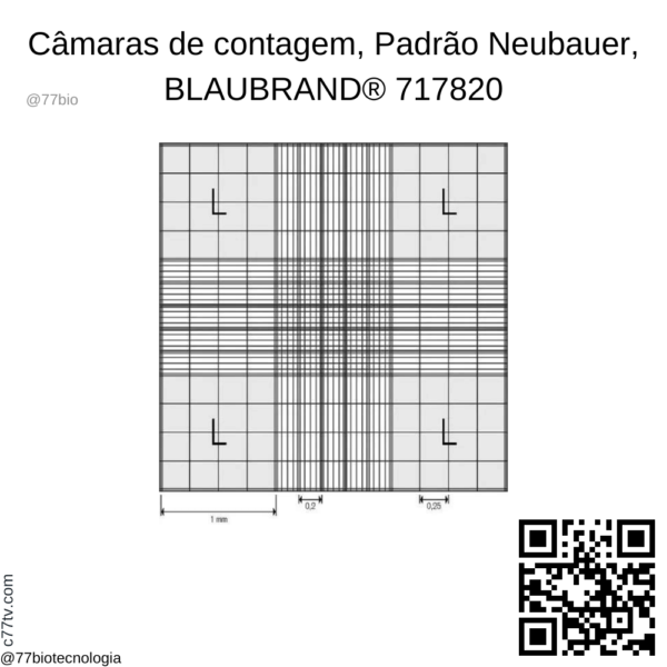 Câmara de contagem BRAND® BLAUBRAND® Neubauer aprimorada com clipes, régua dupla | BR717820