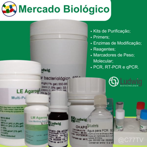 Marcador de Peso Molecular, Ladder 100 pb 250 µl (25 µg), concentração 0,1 µg/ µl . Consiste de 12 fragmentos de DNA (em pares de base):2.080, 1.500, 1.000, 900, 800, 700, 600, 500, 400, 300, 200 e 100. Frasco para 50 reações.