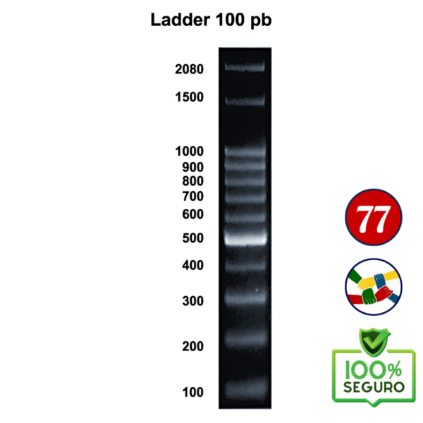 Marcador de peso molecular, Ladder 100 pb 500 µl (100 reações) - 14-4000-01