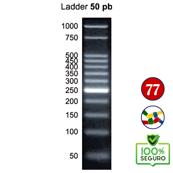 Marcador de peso molecular, Ladder 50 pb 1.000 µl (100 reações) 14-4002-01